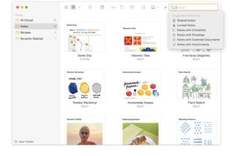 The 5 Best Note-taking Apps For Your Mac